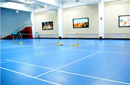 室內(nèi)羽毛球004