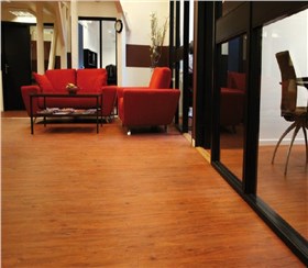 威孚地板商業辦公案例A04