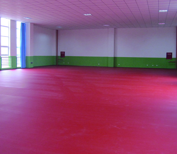 德陽體育館地板