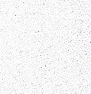 威孚防靜電地板001